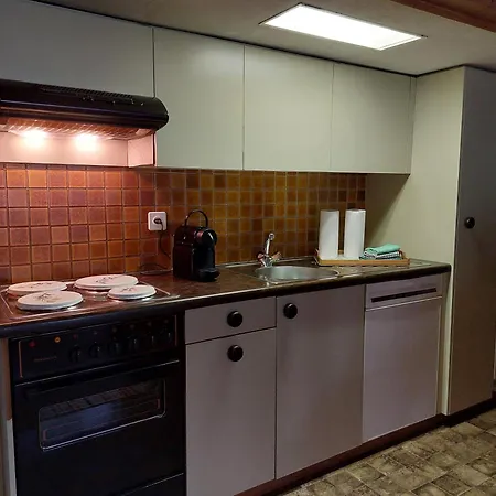 Bernese Oberland, Guendlischwand Apartment Exterior photo