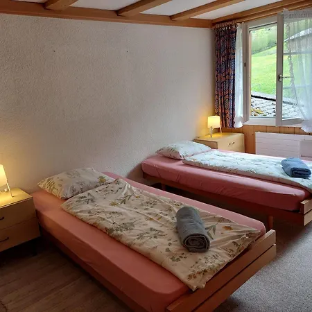 Bernese Oberland, Guendlischwand Apartment Exterior photo