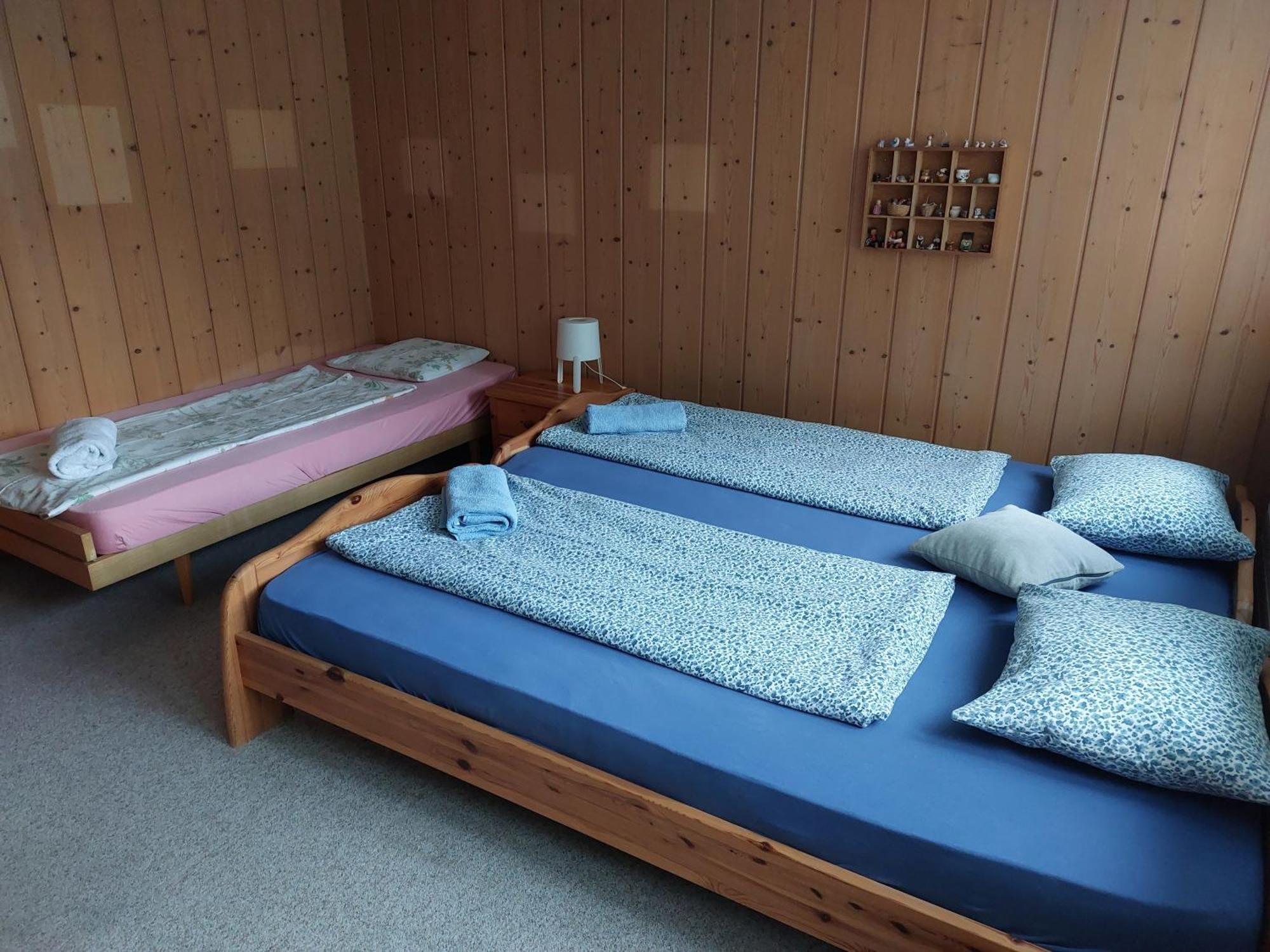 Apartment Bernese Oberland, *