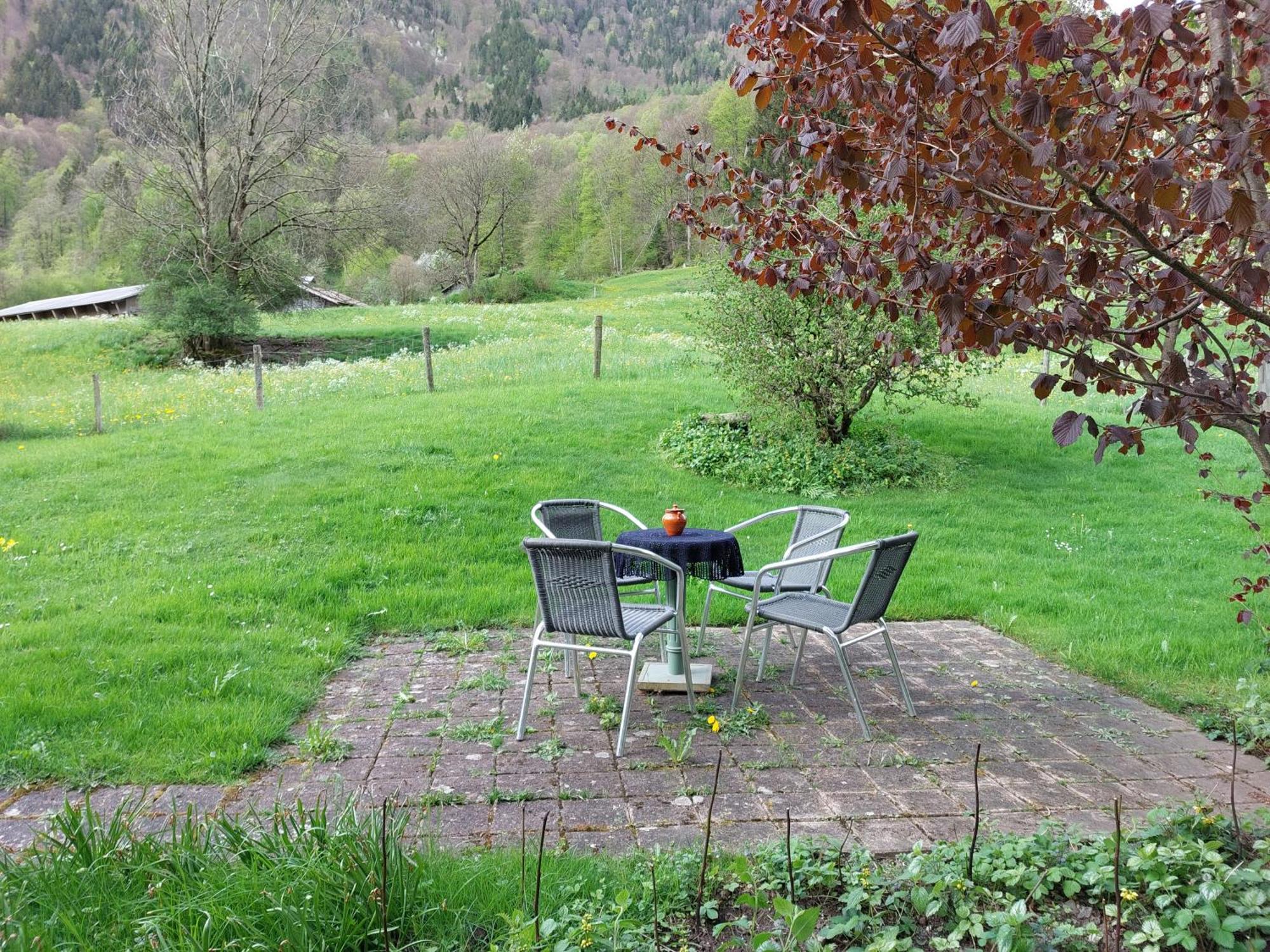 Apartment Bernese Oberland, *