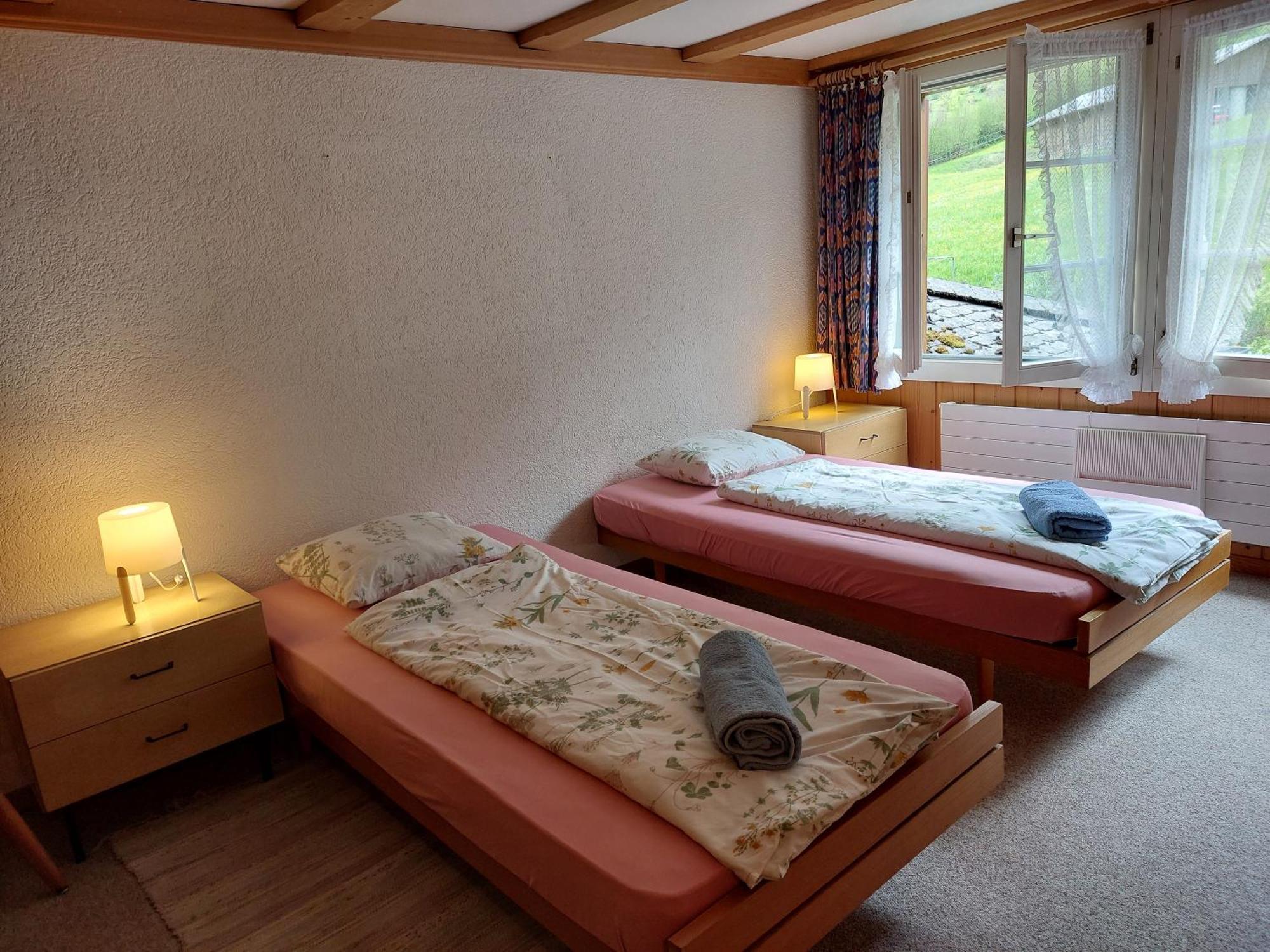 Apartment Bernese Oberland, *